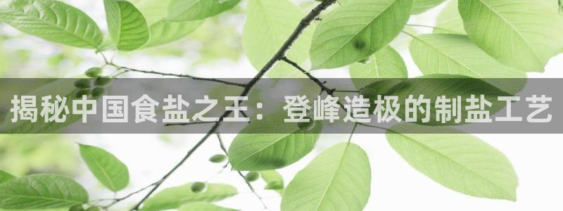 威九国际安全吗