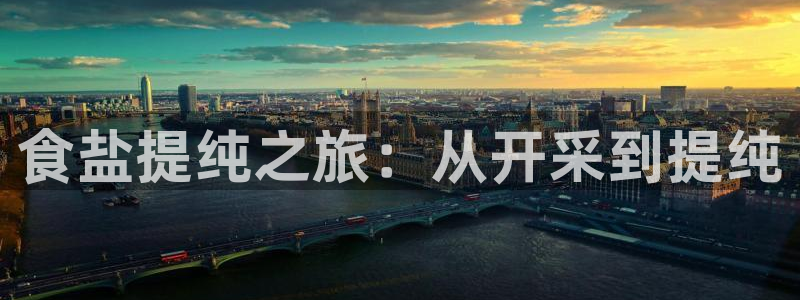 威九国际演员表