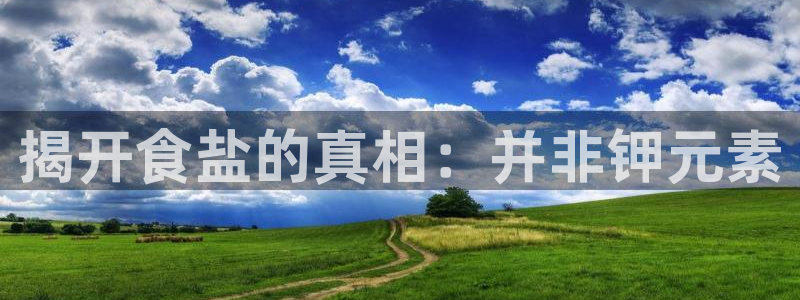 威九国际女主角