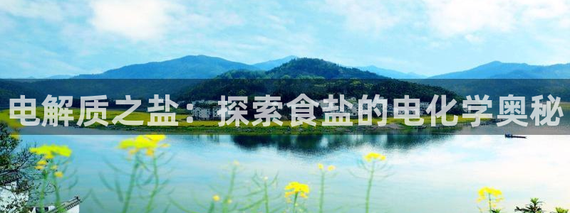 威九国际AN