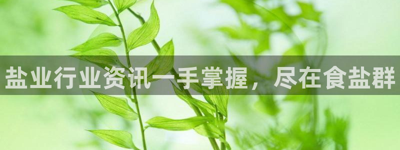 威九国际网站入口地址