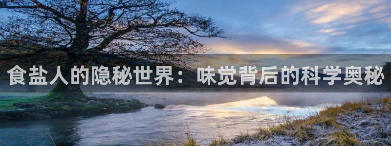 威九国际官方网站最新版本更新内容介绍