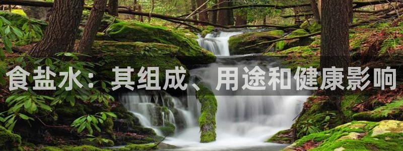 威九国际HP