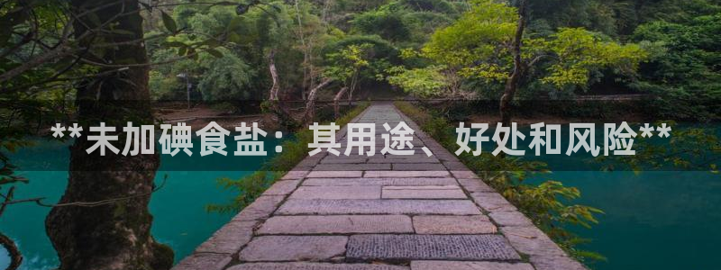 威九国际旗下艺人