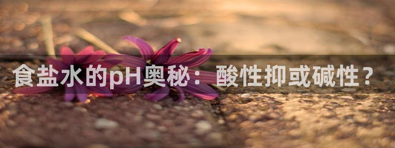 威九国际网站入口官网首页