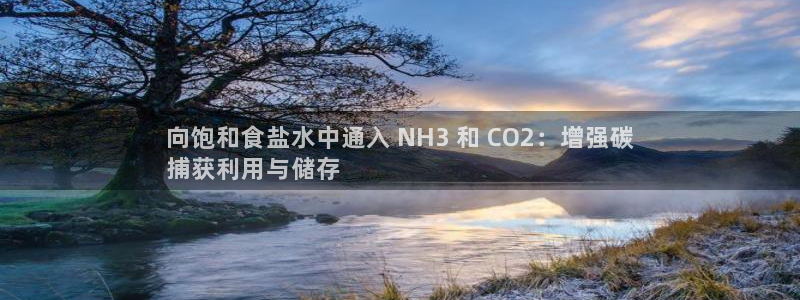 威九国际替好友去