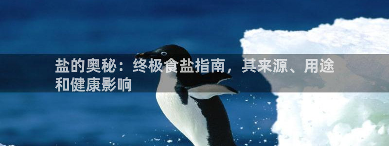 威九国际ppt免费下载