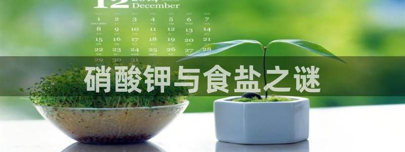 威九国际app客服电话多少