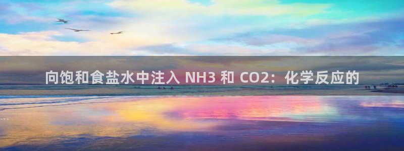 威九国际网站是多少