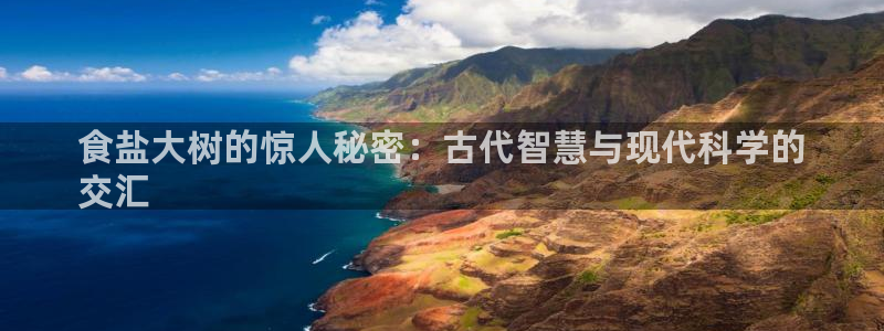 威九国际网站经常打不开网页