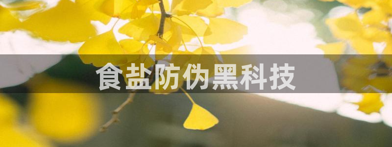 78mapp威九国际网页版