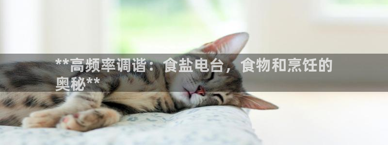威九国际app下载