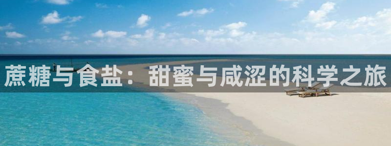 威九国际的演员