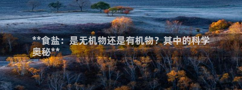 威九国际网站更新了吗