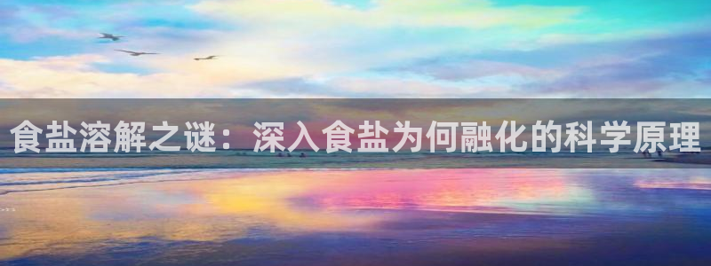 威九国际ppt免费