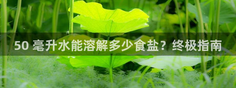 威九国际网站经常打不开怎么办