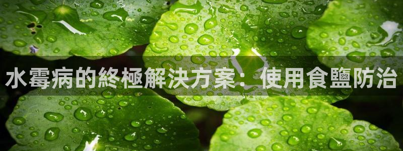 威九国际最近的视频