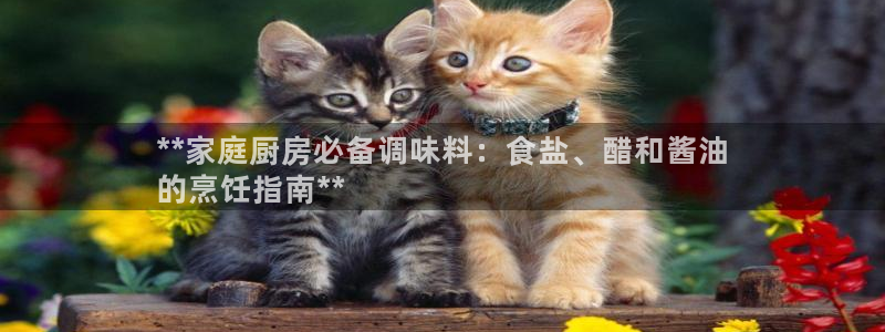 威九国际女主名字