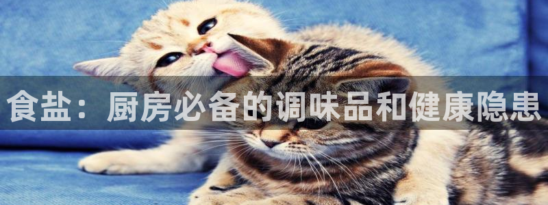 威九国际网站入口地址