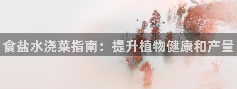威九国际官方入口官网