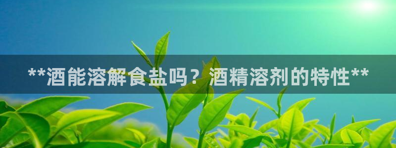威九国际66cm