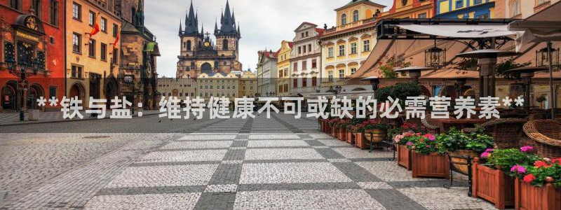 威九国际精免费下载