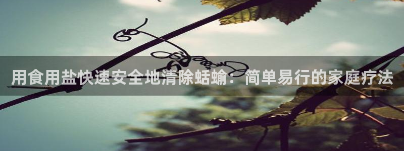 66m威九国际精选