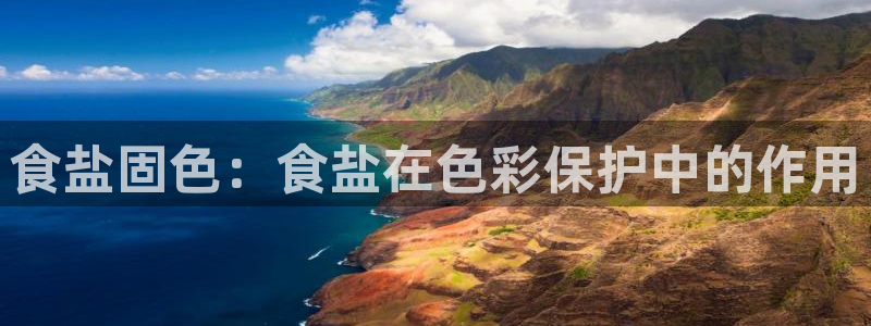 威九国际网页看视频弹窗的广告拦截插件