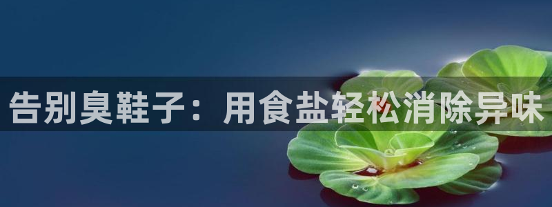 威九国际客服电话是多少
