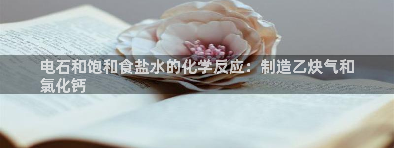 威九国际清砖码