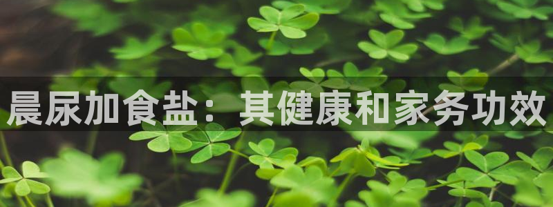 威九国际网站客服电话多少
