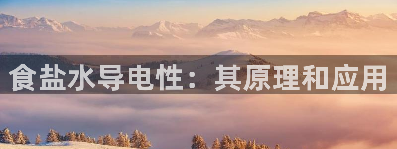 威九国际66m66官网