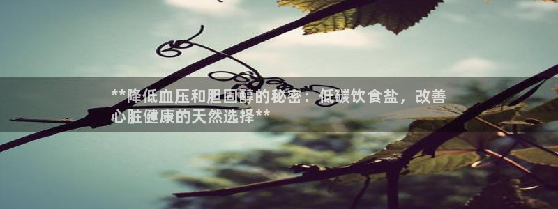 威九国际APP那个地方