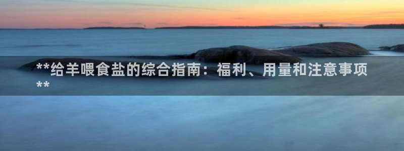 威九国际78mb