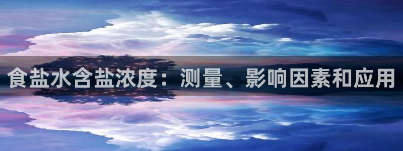 威九国际软件公司简介