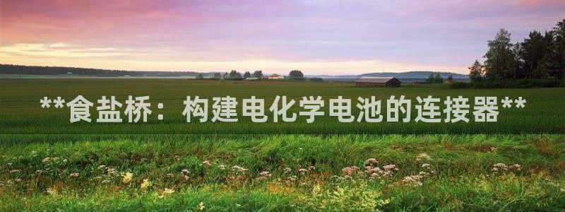 威九国际Sxsx