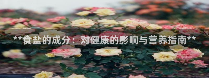 威九国际78mb官网