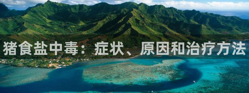 保定威九网络科技有限公司是干嘛的