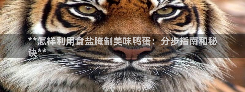 威九国际成长模式