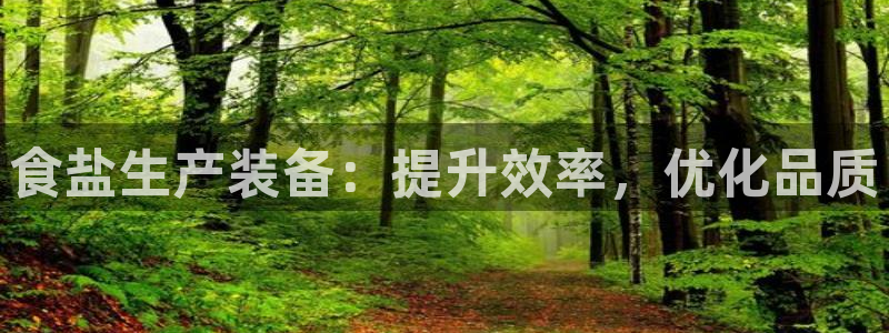 威九国际清砖码