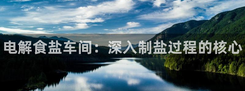 威九国际网站是多少
