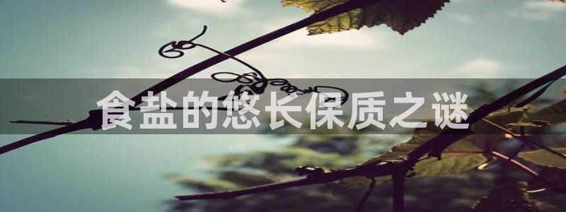 威九国际观看
