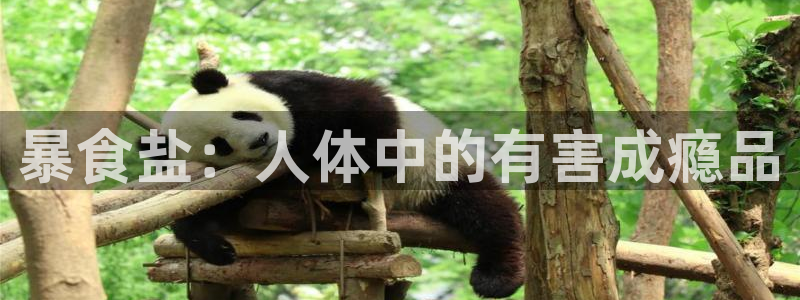 威九国际热舞