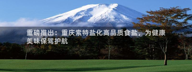 威九国际网站进入客服中心怎么退出：重磅推出：重庆索特盐化高品