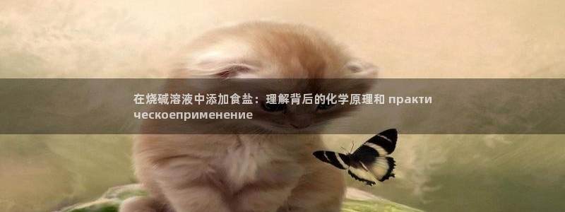 威九国际78mapp官网版下载：在烧碱溶液中添加食盐：理解背