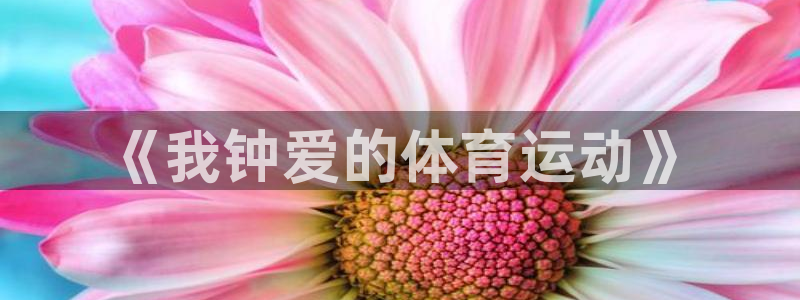 球客岛：《我钟爱的体育运动》