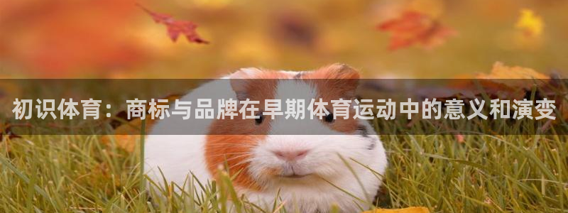球客岛：初识体育：商标与品牌在早期体育运动中的意义和演变