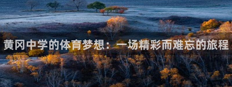 球客岛：黄冈中学的体育梦想：一场精彩而难忘的旅程