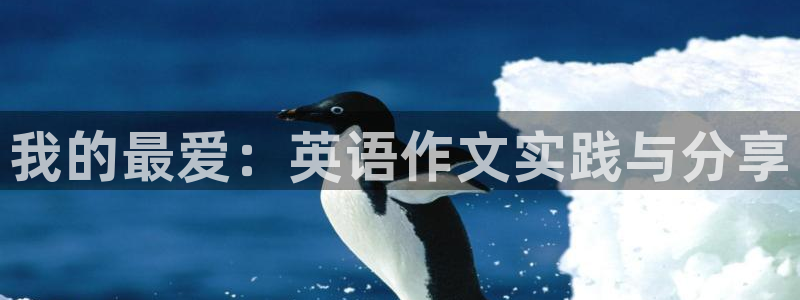 球客岛：我的最爱：英语作文实践与分享