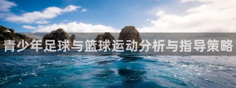 球客岛：青少年足球与篮球运动分析与指导策略